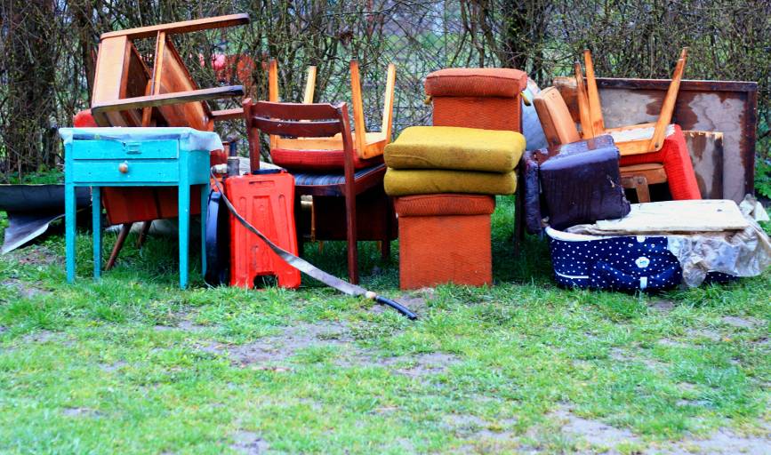 Yard Clean-Up